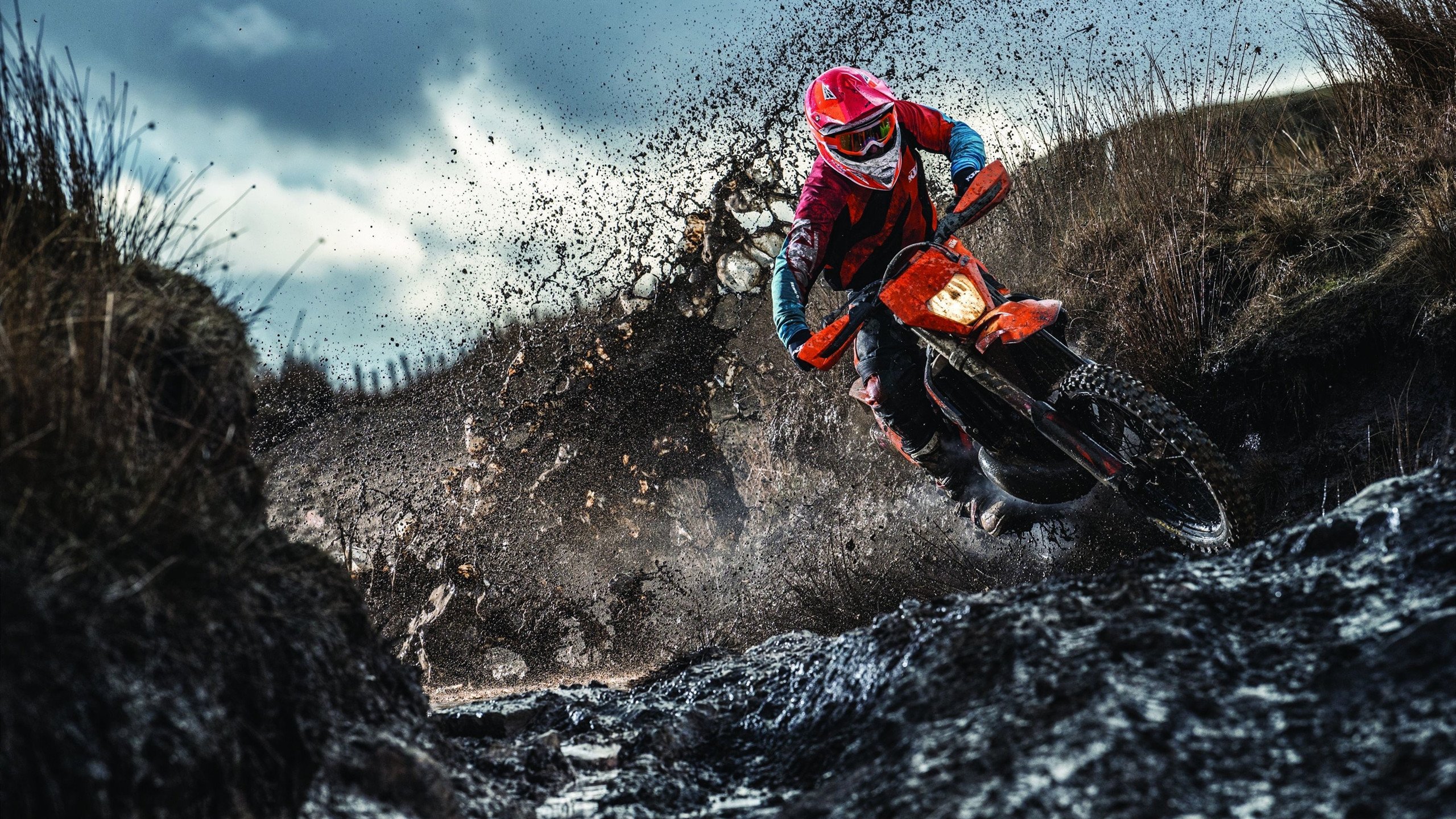 跳水决赛奥地利完成高难动作，奥运跳水澳大利亚